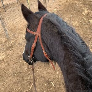 Meet your Posher, Teri